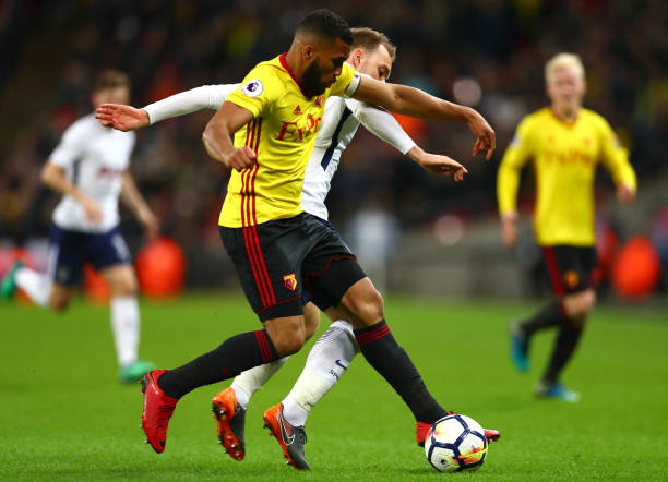 动在中国的 动在中国的